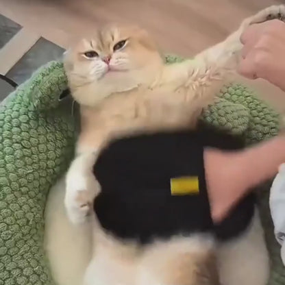 Fellpflegehandschuh für Hunde & Katzen