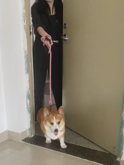 2-in-1 Pfotenreiniger für Hunde