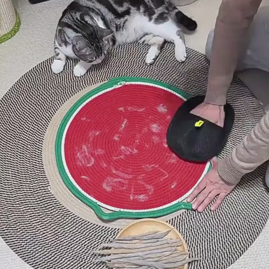 Fellpflegehandschuh für Hunde & Katzen